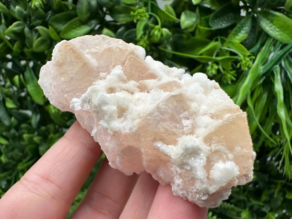 Mangano Calcite with Galena, Borieva Mine, Bulgaria
