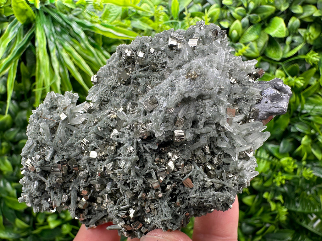 Pyrite Galena on Green Quartz with Chlorite: Borieva Bulgaria Crystal