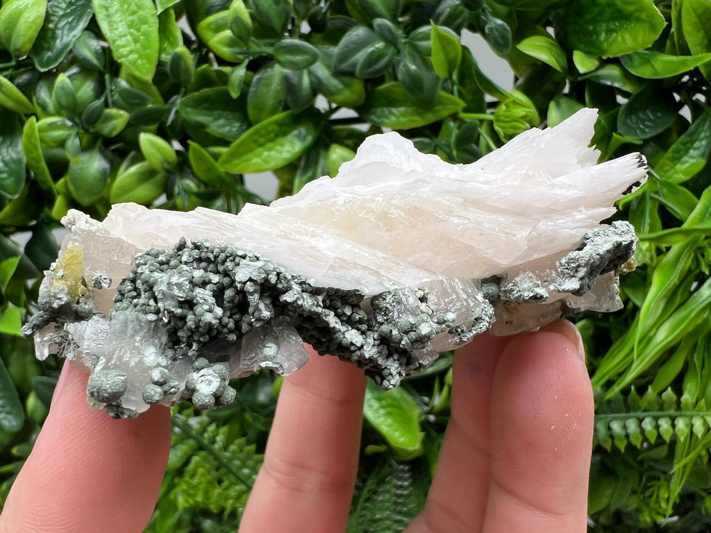 Wonderful,UV Mangano Calcite from Borieva mine Madan Bulgaria natural minerals souvenir crystal collection home decor souvenir gift stone