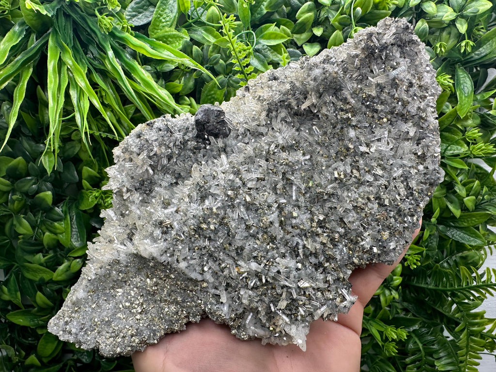 Sphalerite on Quartz with Pyrite, Borieva Mine Mineral Specimen