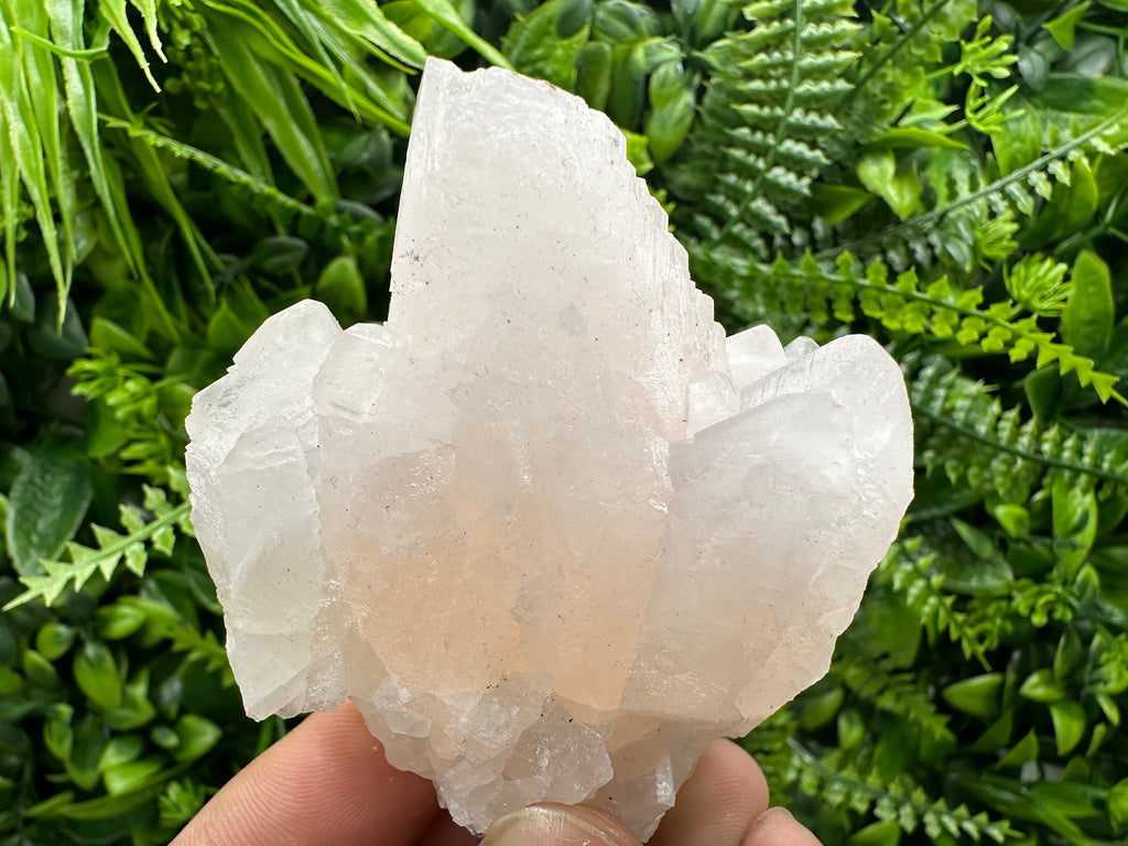 UV Reactive Mangano Calcite Crystal: Androvo Mine, Bulgaria