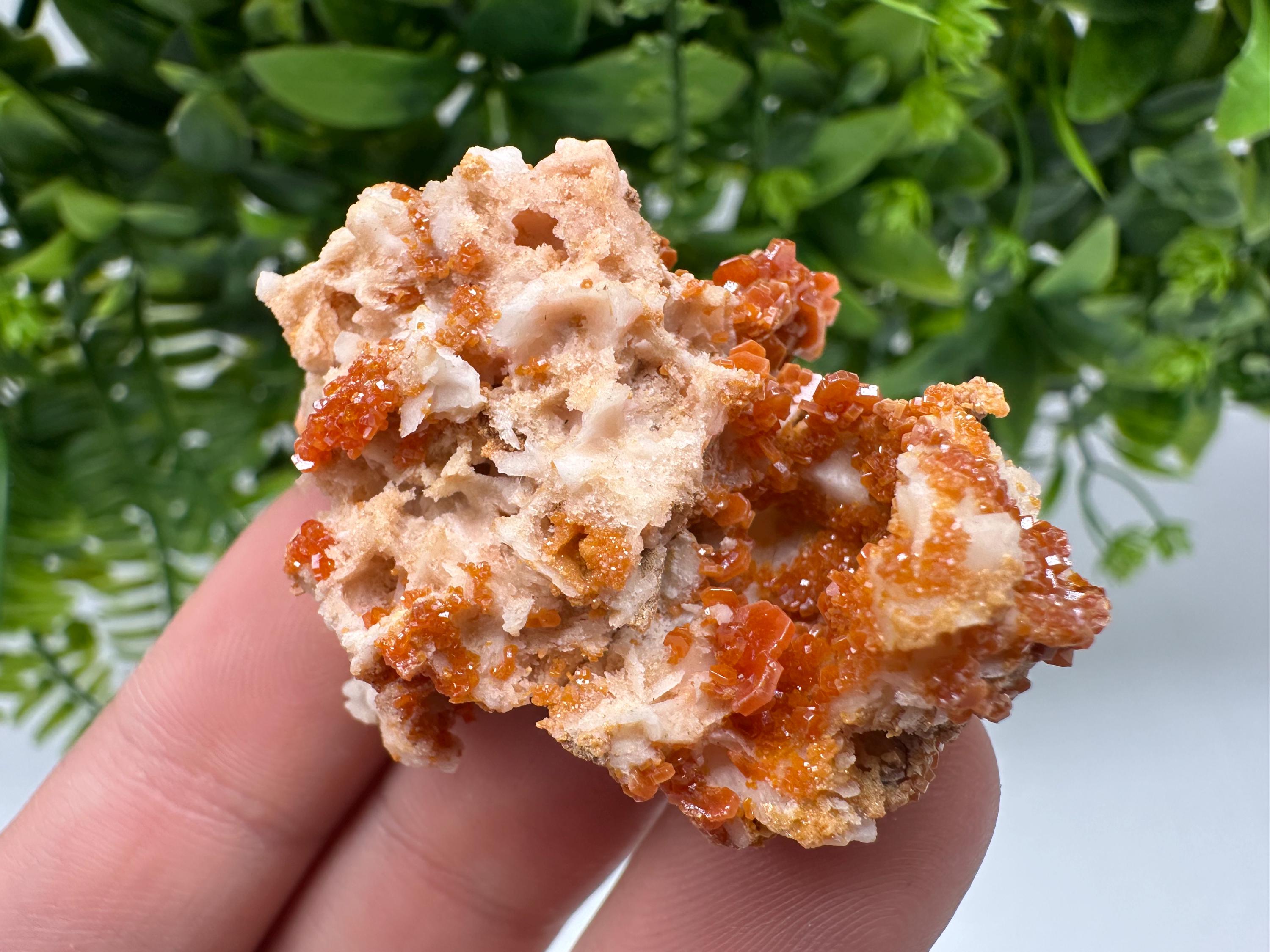 Red Vanadinite on Barite from Marocco,crystal minerals Speciment cluster Vanadinite crystal Vanadinite Geology Vanadinite cluster minerals
