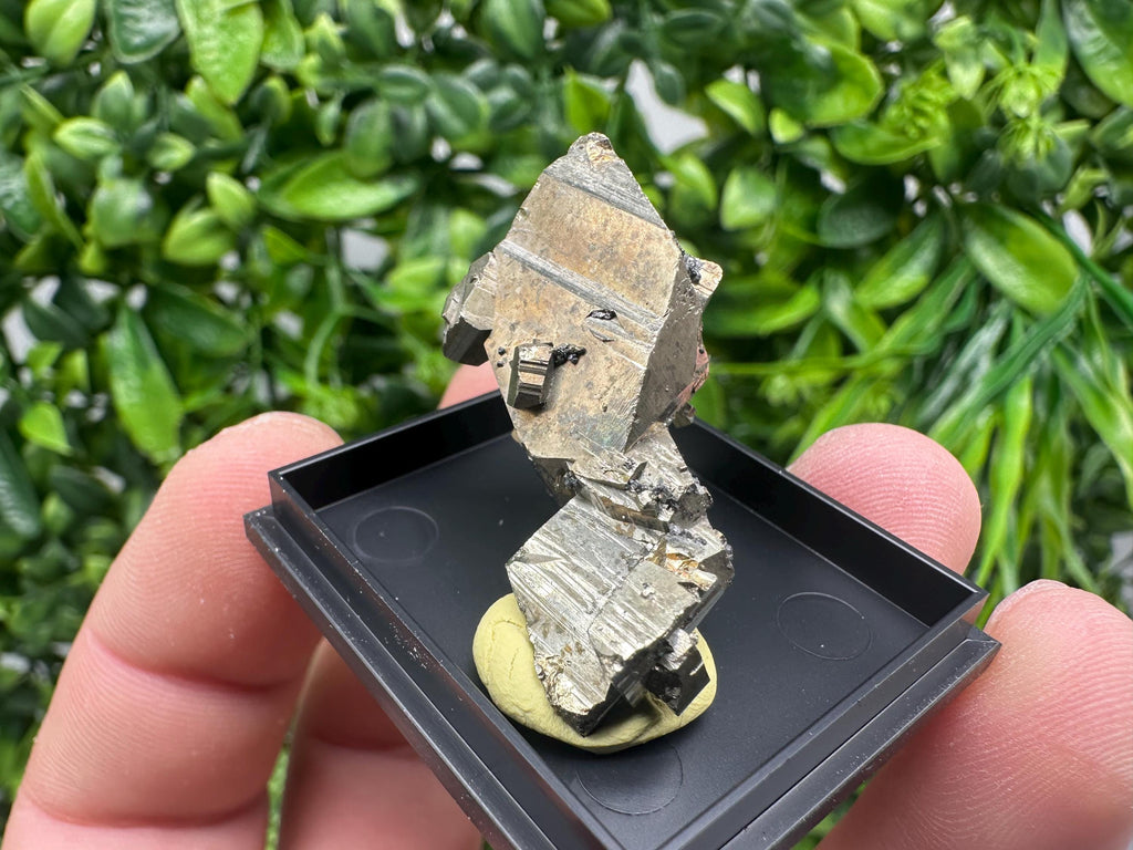 Rare Crystallized Pyrite Cluster - Borieva Mine, Bulgaria