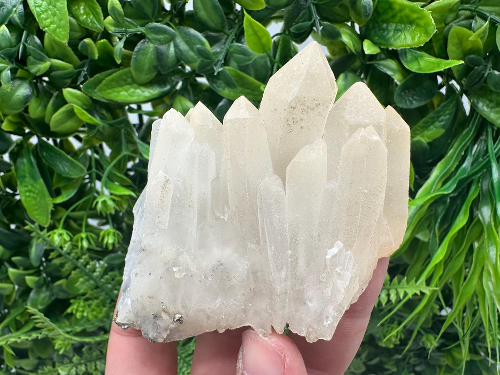 Quartz Rhodochrosite Cluster, Djurcovo Mine Mineral Specimen