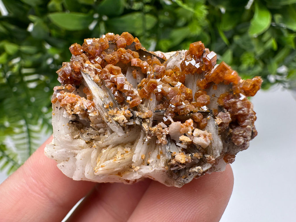 Red Vanadinite on Barite from Marocco,crystal minerals Speciment cluster Vanadinite crystal Vanadinite Geology Vanadinite cluster minerals