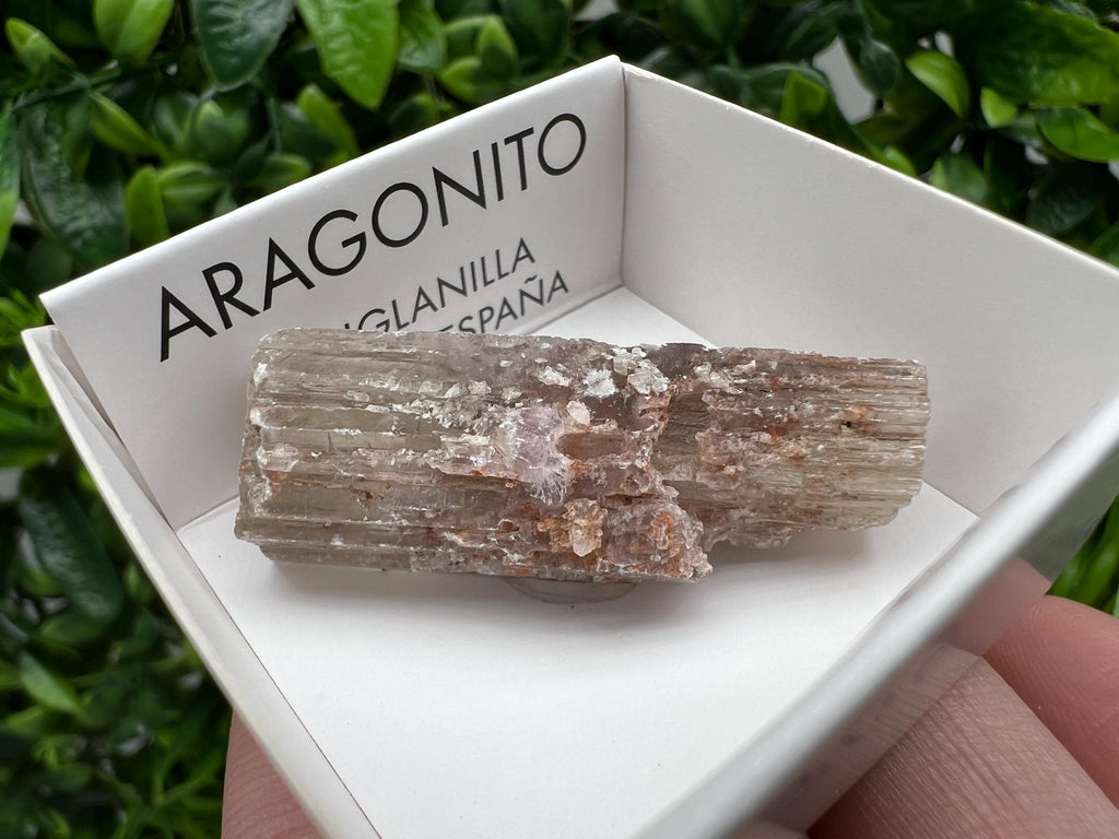 Amazing Aragonite from Spain,Aragonite crystal,cluster,natural,mineral,specimen,Purple Aragonite,Spanish Aragonite,Mineralcollection