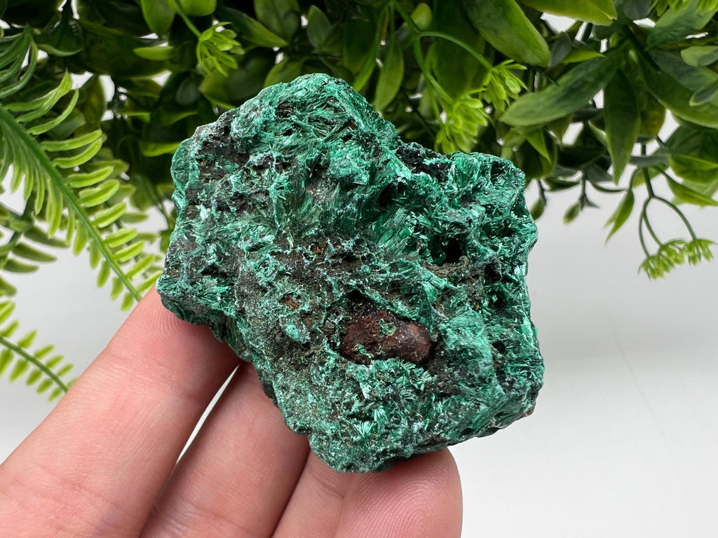 Malachite Crystal from Congo,Minerals,Crystals from Congo,Green Malachite, Malachite,Natural Malachite,Malachite Stone,Chakra, Specimens