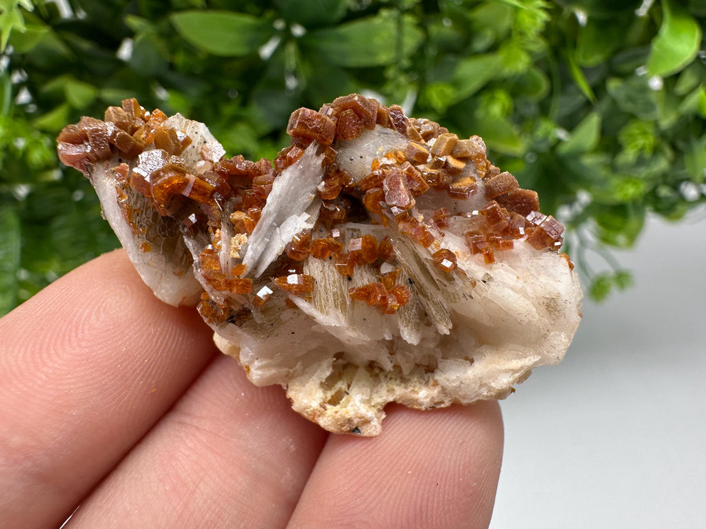 Red Vanadinite on Barite from Marocco,crystal minerals Speciment cluster Vanadinite crystal Vanadinite Geology Vanadinite cluster minerals