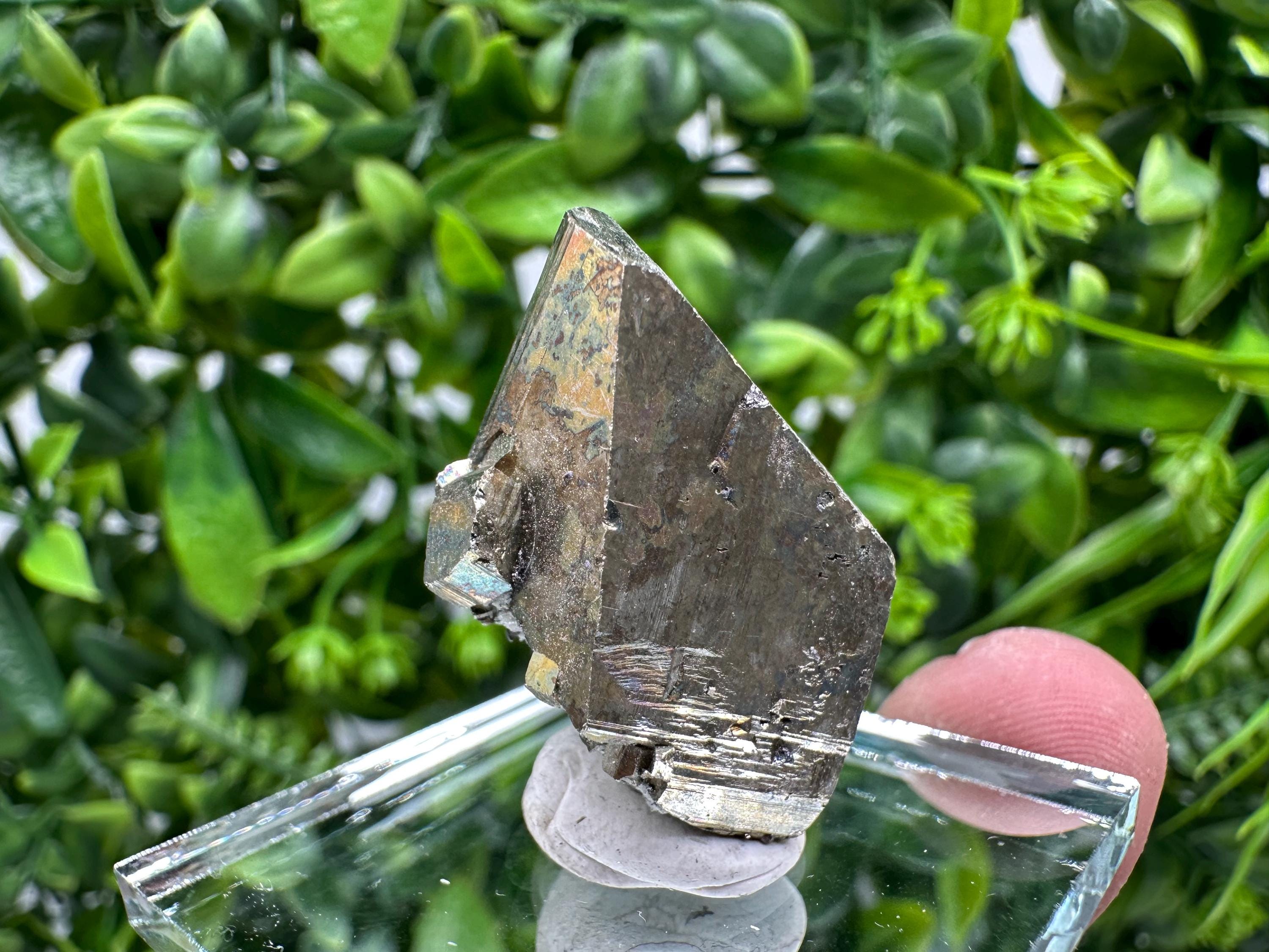 Rare Rainbow Pyrite Crystal Cluster - Borieva Mine, Bulgaria