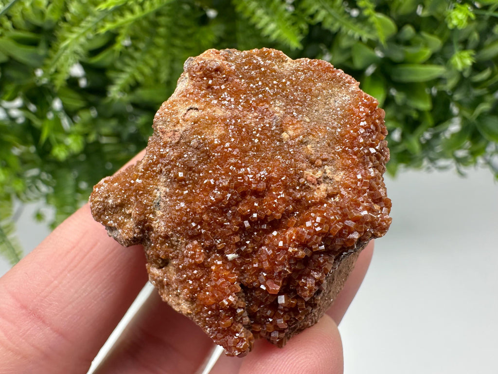 Red Vanadinite on Matrix from Marocco,crystal minerals Speciment cluster Vanadinite crystal Vanadinite Geology Vanadinite cluster minerals