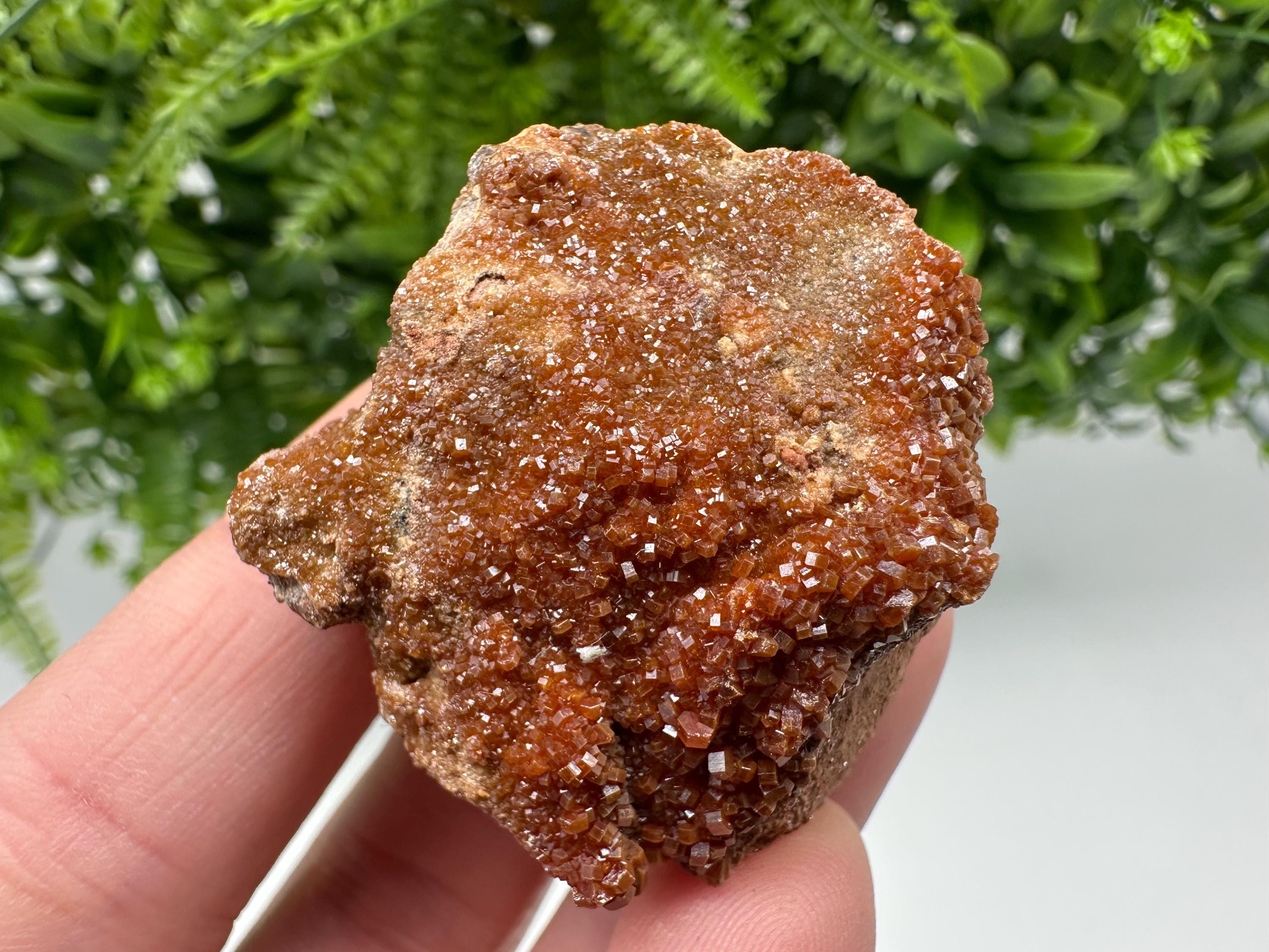 Red Vanadinite on Matrix from Marocco,crystal minerals Speciment cluster Vanadinite crystal Vanadinite Geology Vanadinite cluster minerals