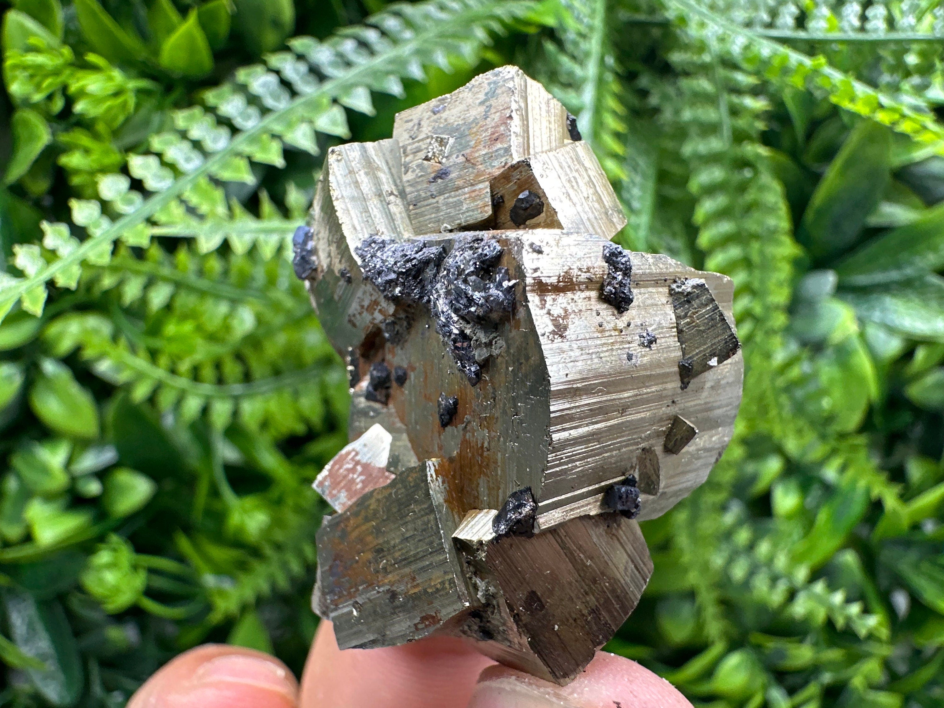 Natural Pyrite Crystal: Shiny Fool's Gold Mineral Souvenir