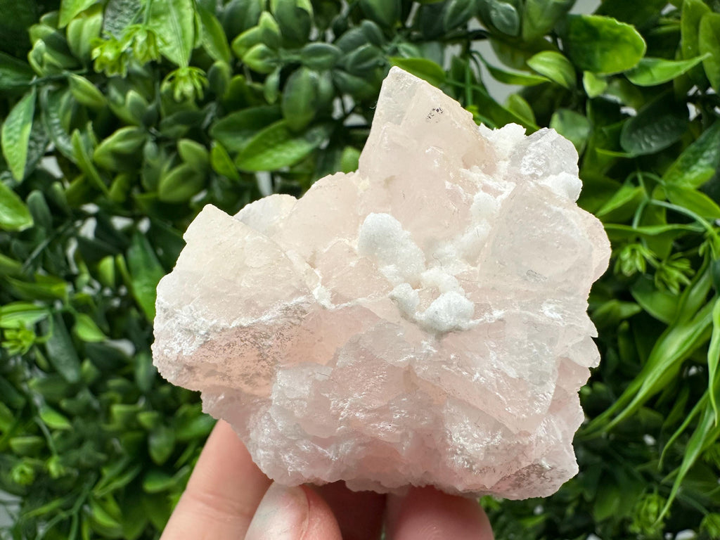 Mangano Calcite with Galena, Borieva Mine, Bulgaria