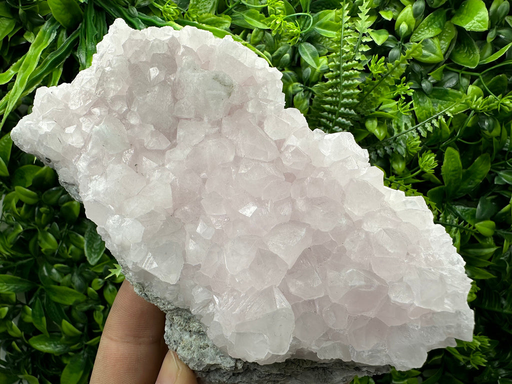 UV Reactive Mangano Calcite Crystal: Androvo Mine, Bulgaria
