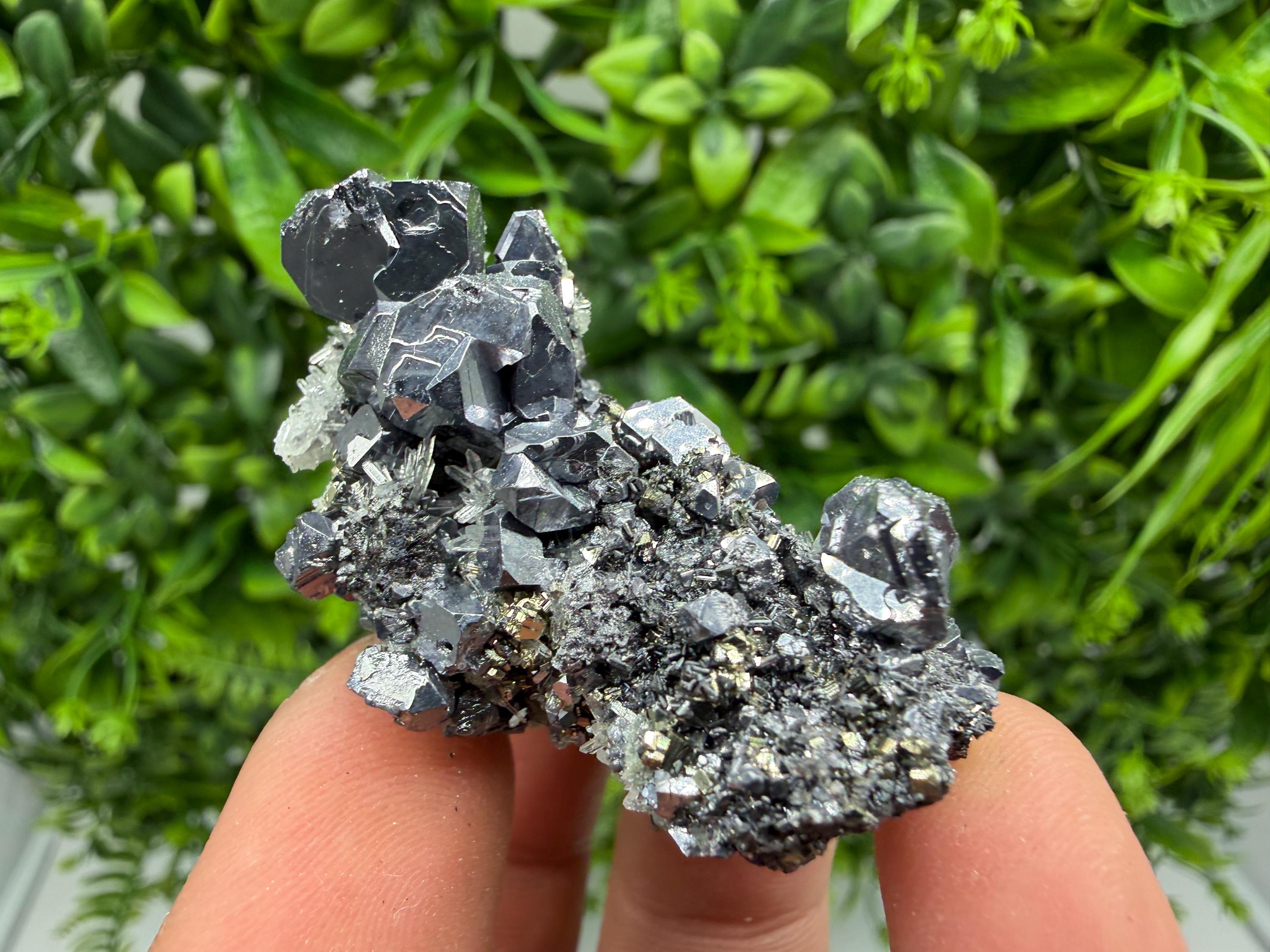 Shiny Galena Cluster, Borieva Mine, Madan Bulgaria