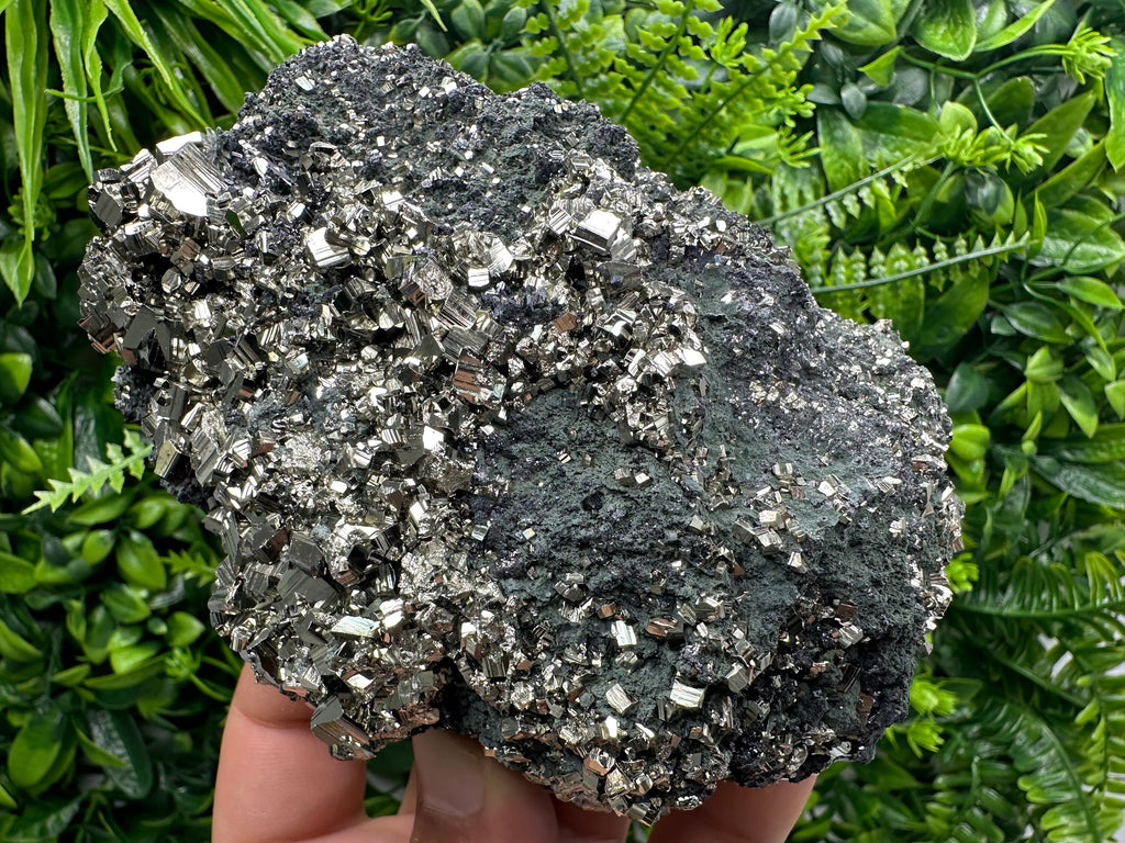 Golden Pyrite on Sphalerite with Chlorite, Bulgaria Mineral Specimen