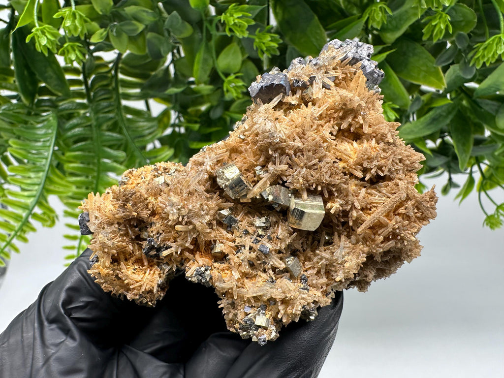 Quartz with Pyrite,Galena,iron oxide Specimen: Borieva Mine Crystal Decor