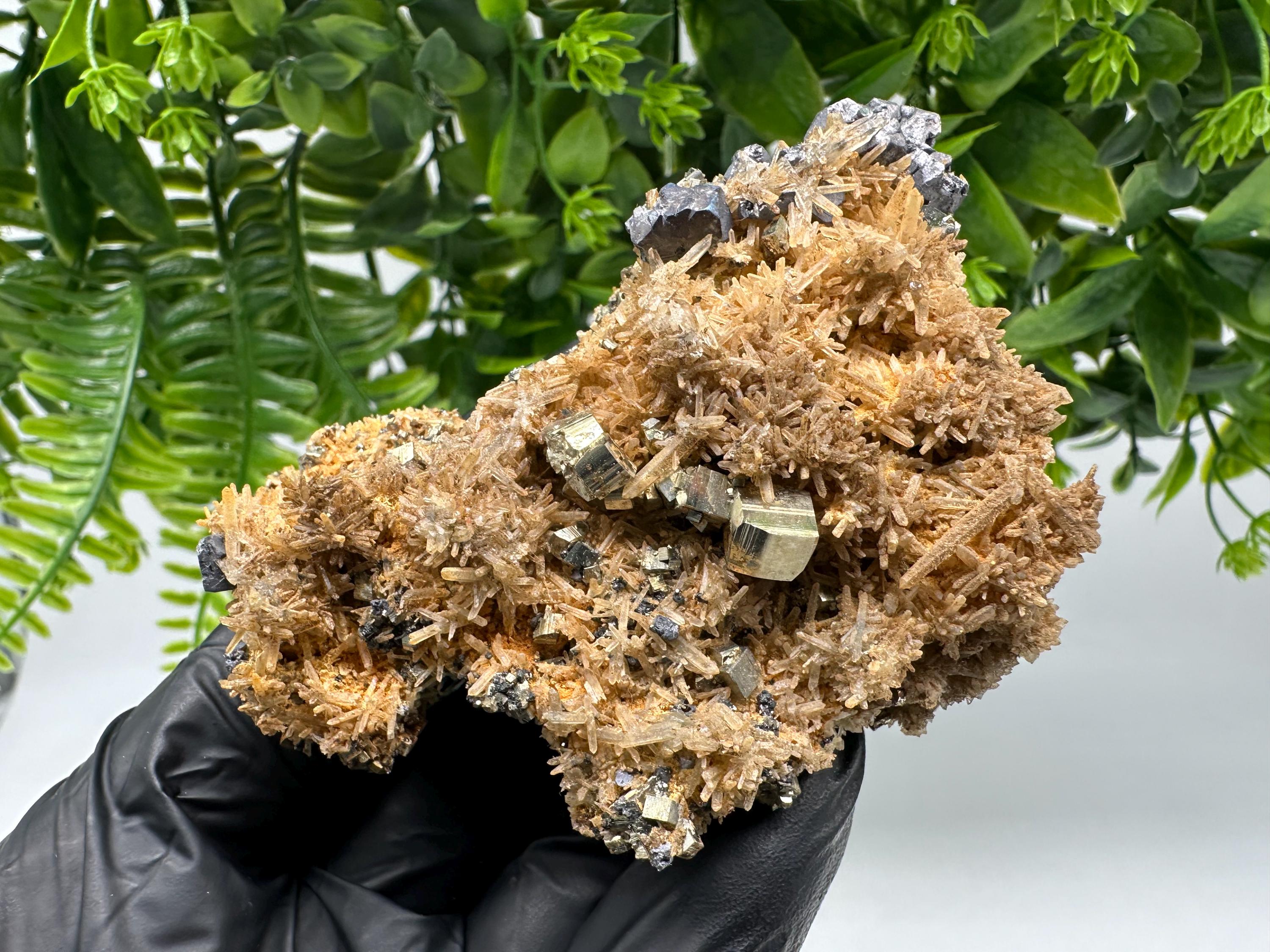 Quartz with Pyrite,Galena,iron oxide Specimen: Borieva Mine Crystal Decor