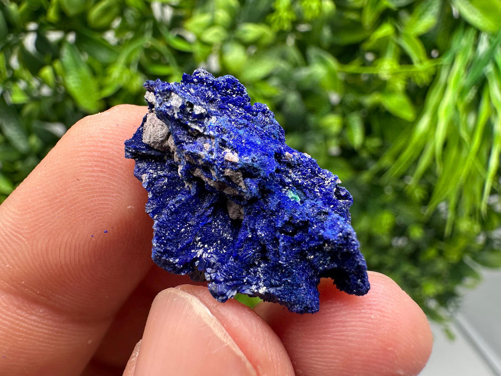 Crystallized Azurite-Kerrouchen,Morocco-Blue Azurite Specimen-High Quality Blue Azurite-Azurite Mineral Specimen, gemmy,lustrous of Azurite