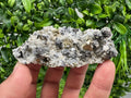 Chalcopyrite Galena on Quartz with Chlorite, Borieva Mine