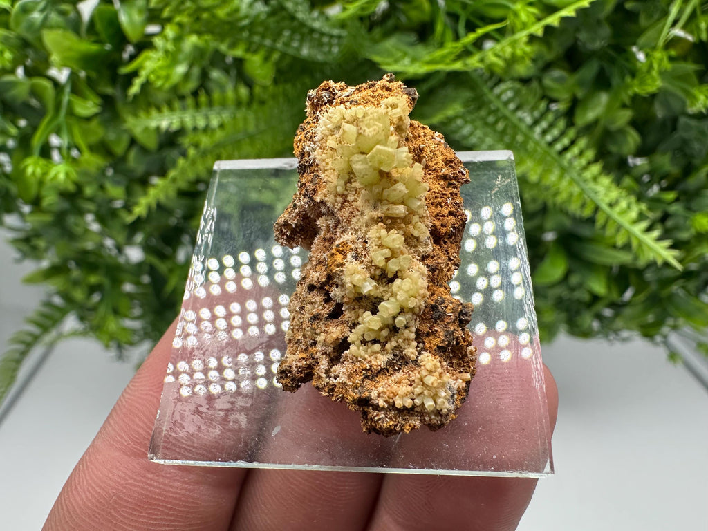 Green Yellow Pyromorphite Hematite on Quartz, Madjarovo Bulgaria