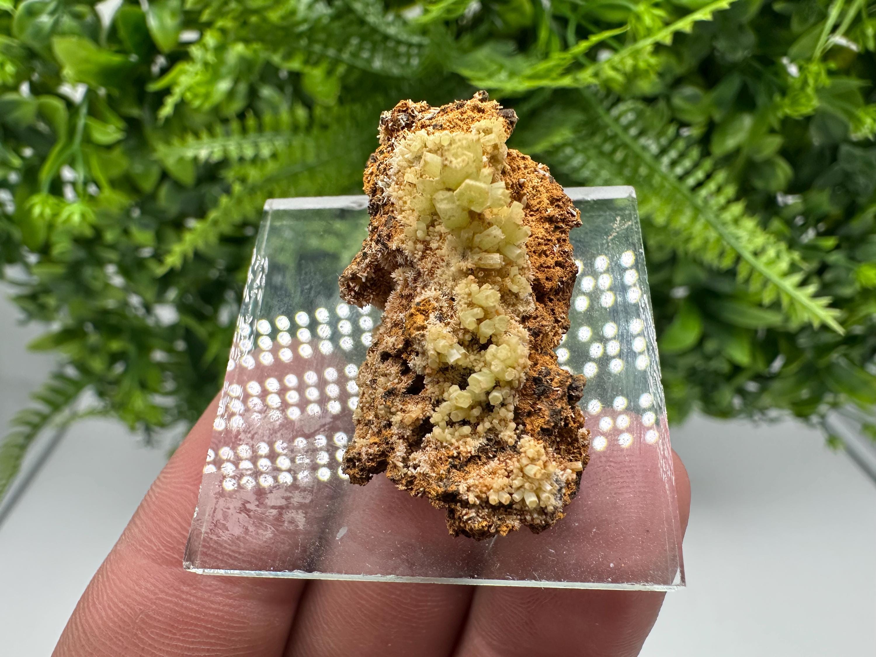 Green Yellow Pyromorphite Hematite on Quartz, Madjarovo Bulgaria