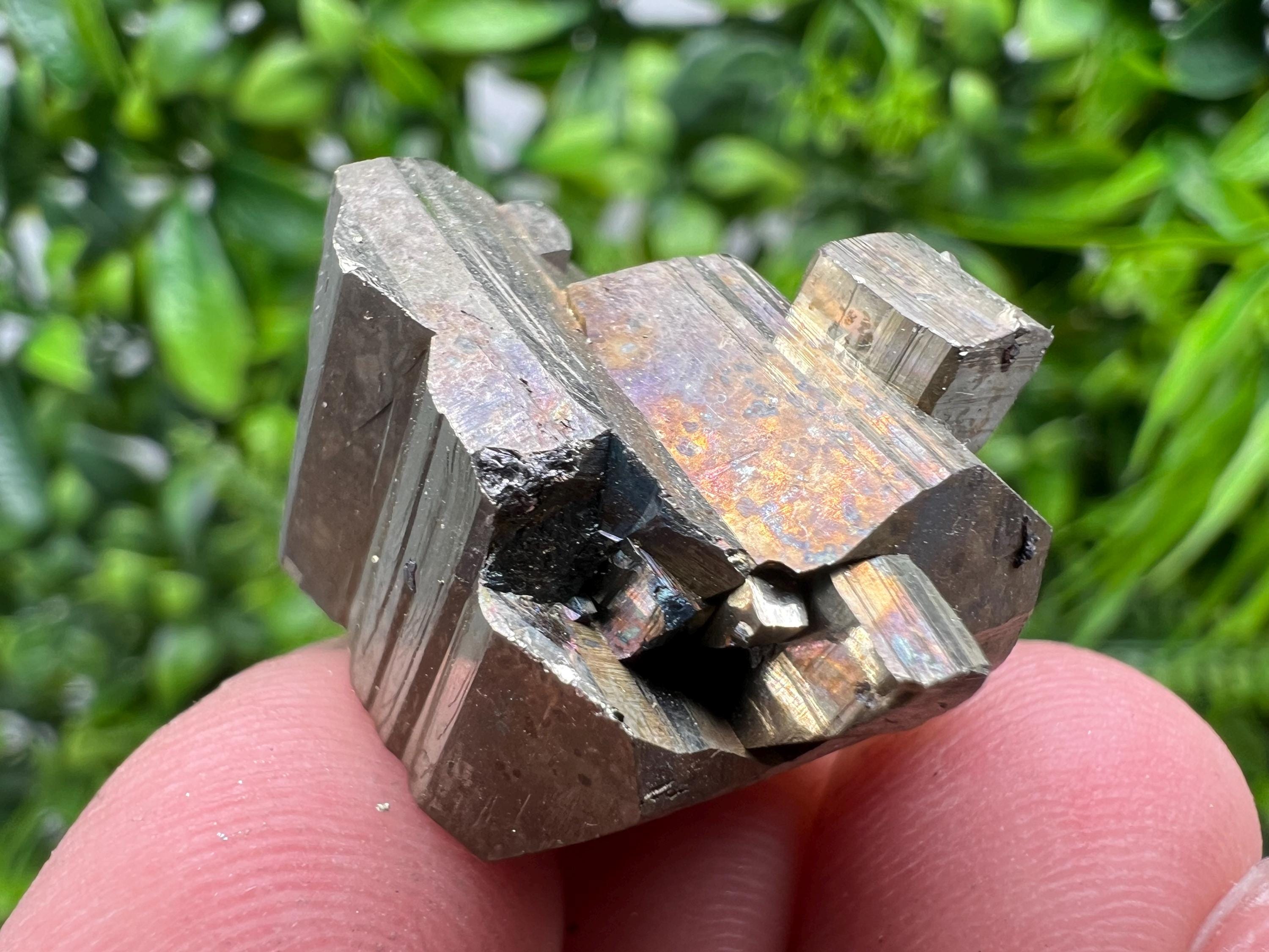 Mini Rainbow Pyrite Cluster: Borieva Mine, Bulgaria