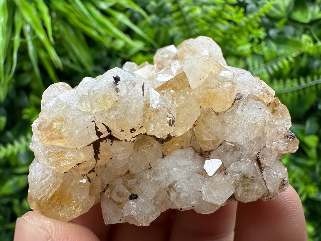 Citrine Crystal Cluster with Hematite Inclusions - Brazil