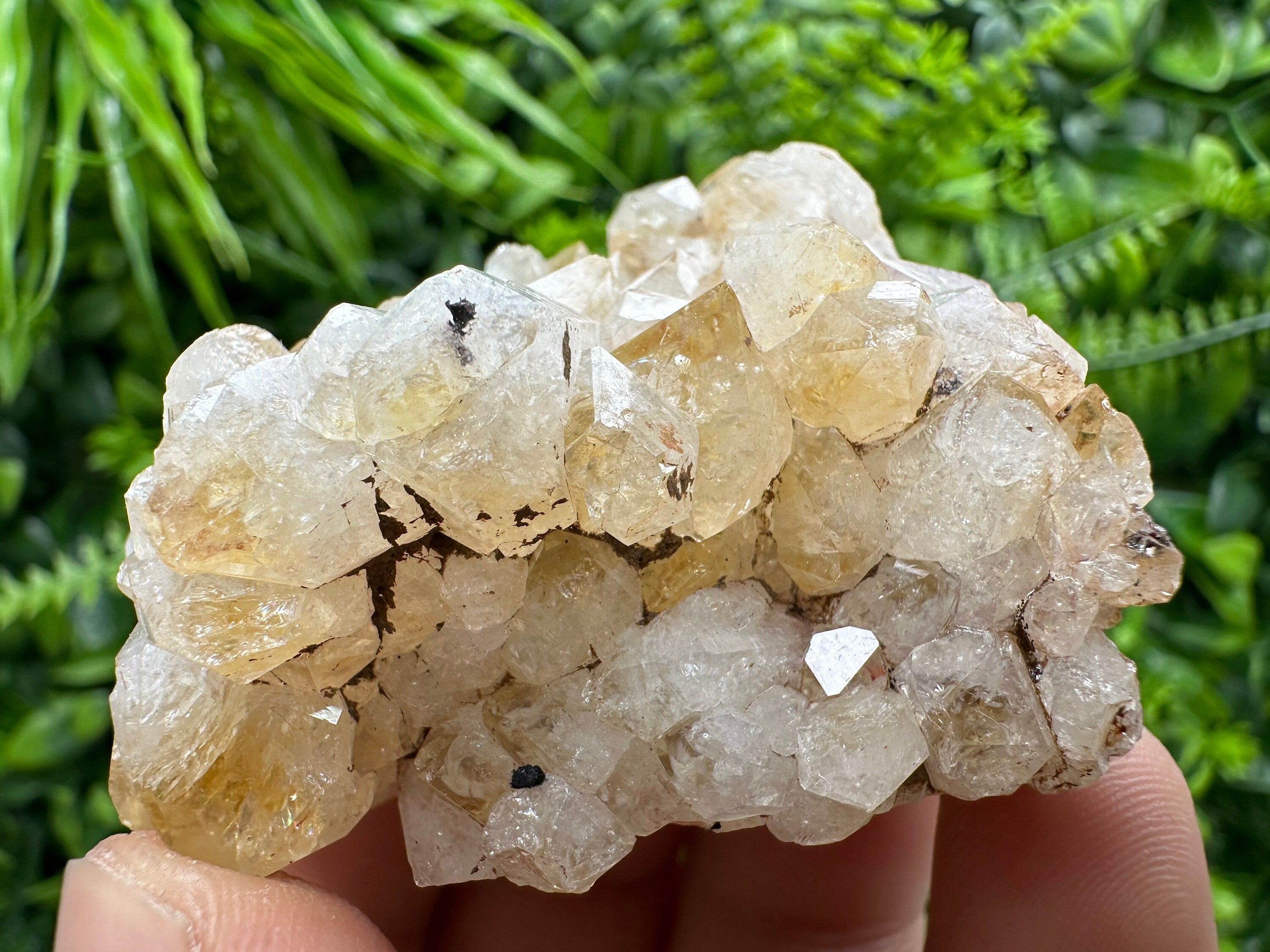Citrine Crystal Cluster with Hematite Inclusions - Brazil