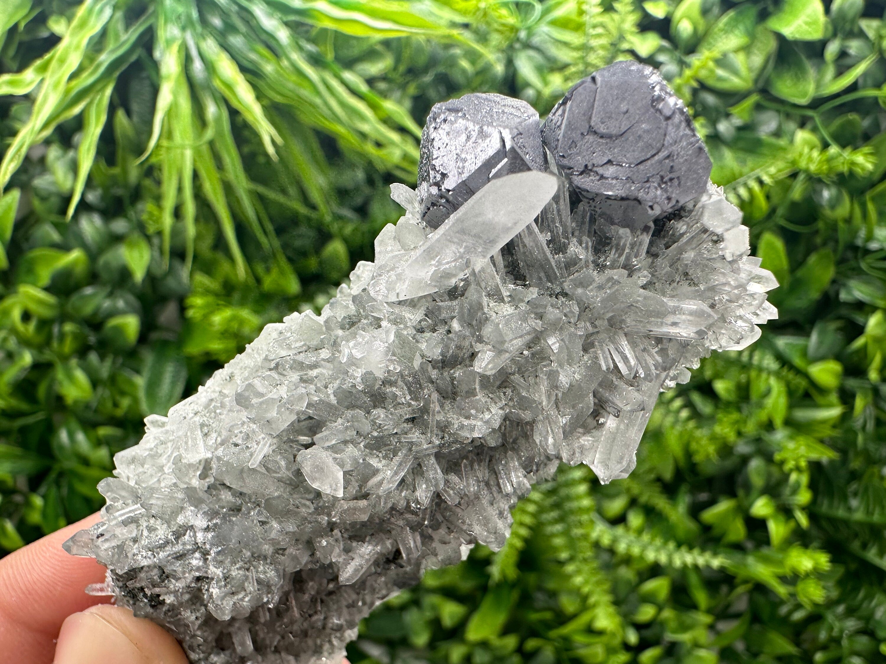 Shiny Galena on Green Quartz with Chlorite Inclusions - Borieva Mine