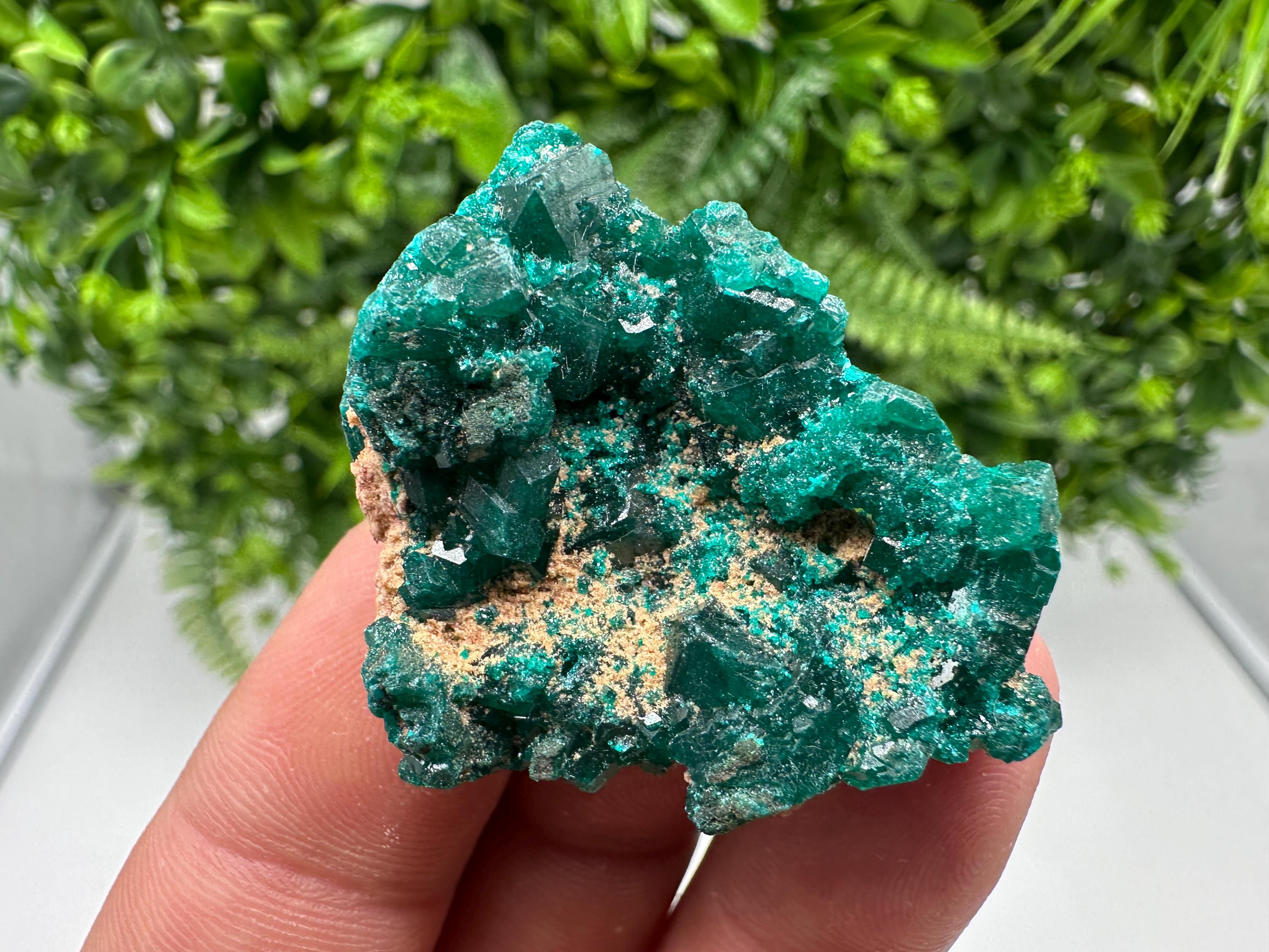 Stunning Green Dioptase from Sanda Hills,Mindouli,Pool Department,Mindouli District,Congo,green Dioptase,Dioptas Crystal,Dioptase collecting