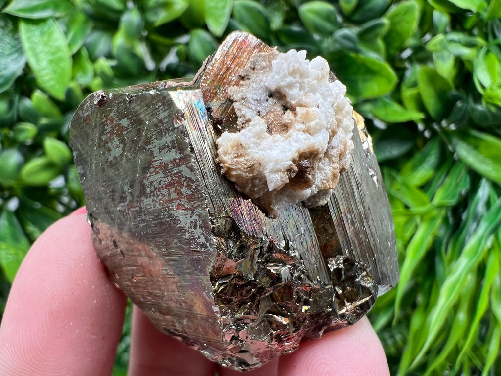 Rainbow Pyrite with Calcite, Natural Mineral Souvenir, Borieva Bulgaria