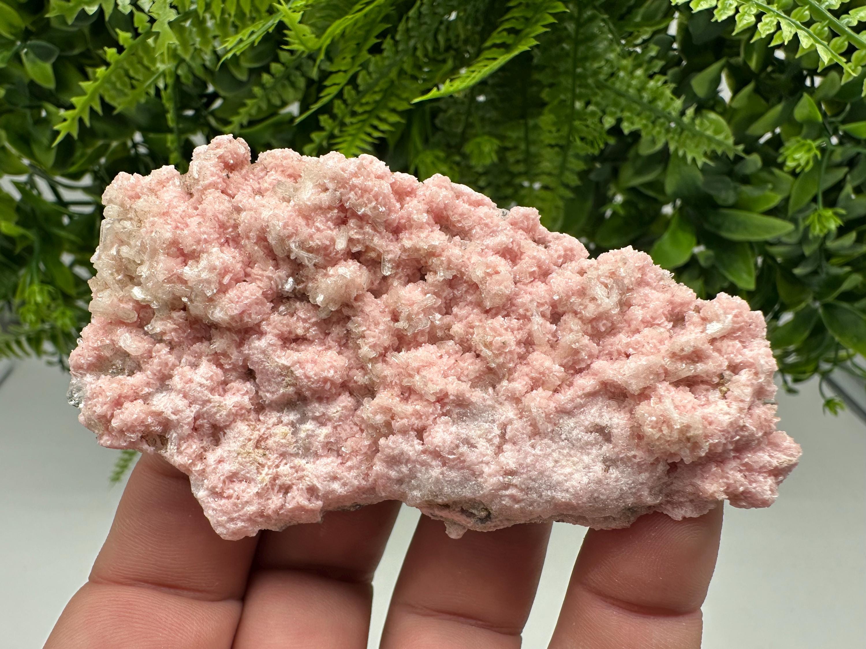 Pink Rhodochrosite Mineral Specimen: Starnica Mine, Bulgaria
