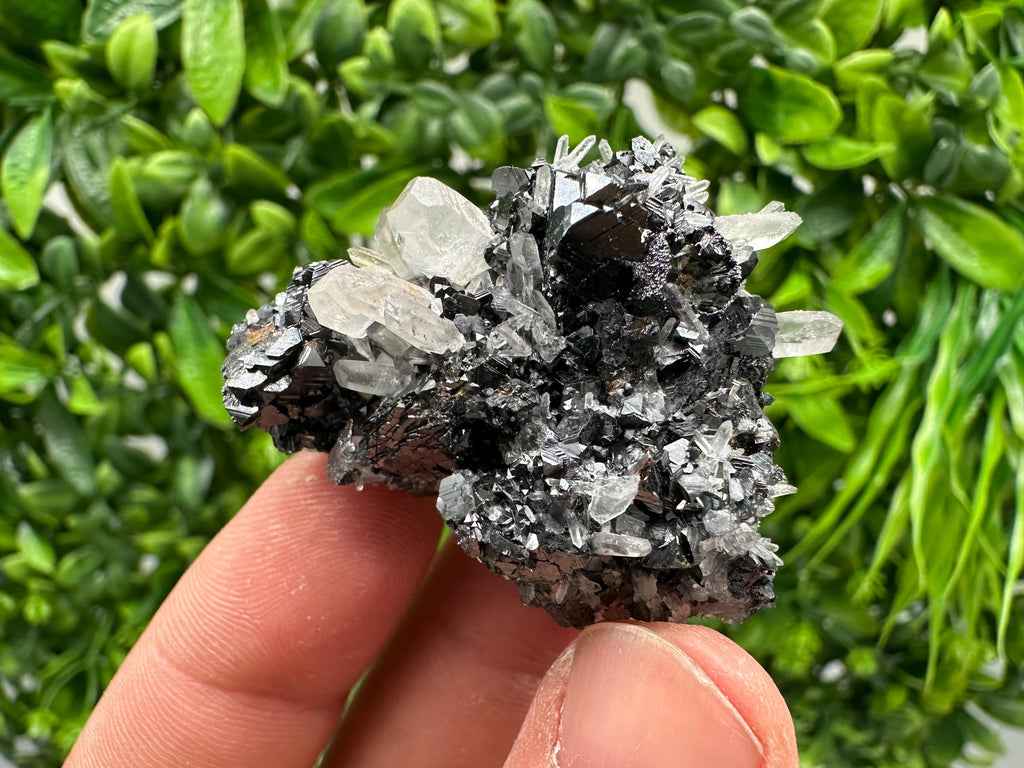 Wonderful Sphalerite Chalcopyrite on  Quartz whit Galena feom 9 th September mine,Bulgaria,natural,collection mineral specimen,gift