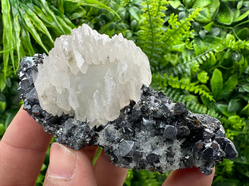 Calcite on Galena, Sphalerite & Quartz, Borieva Mine Mineral Specimen