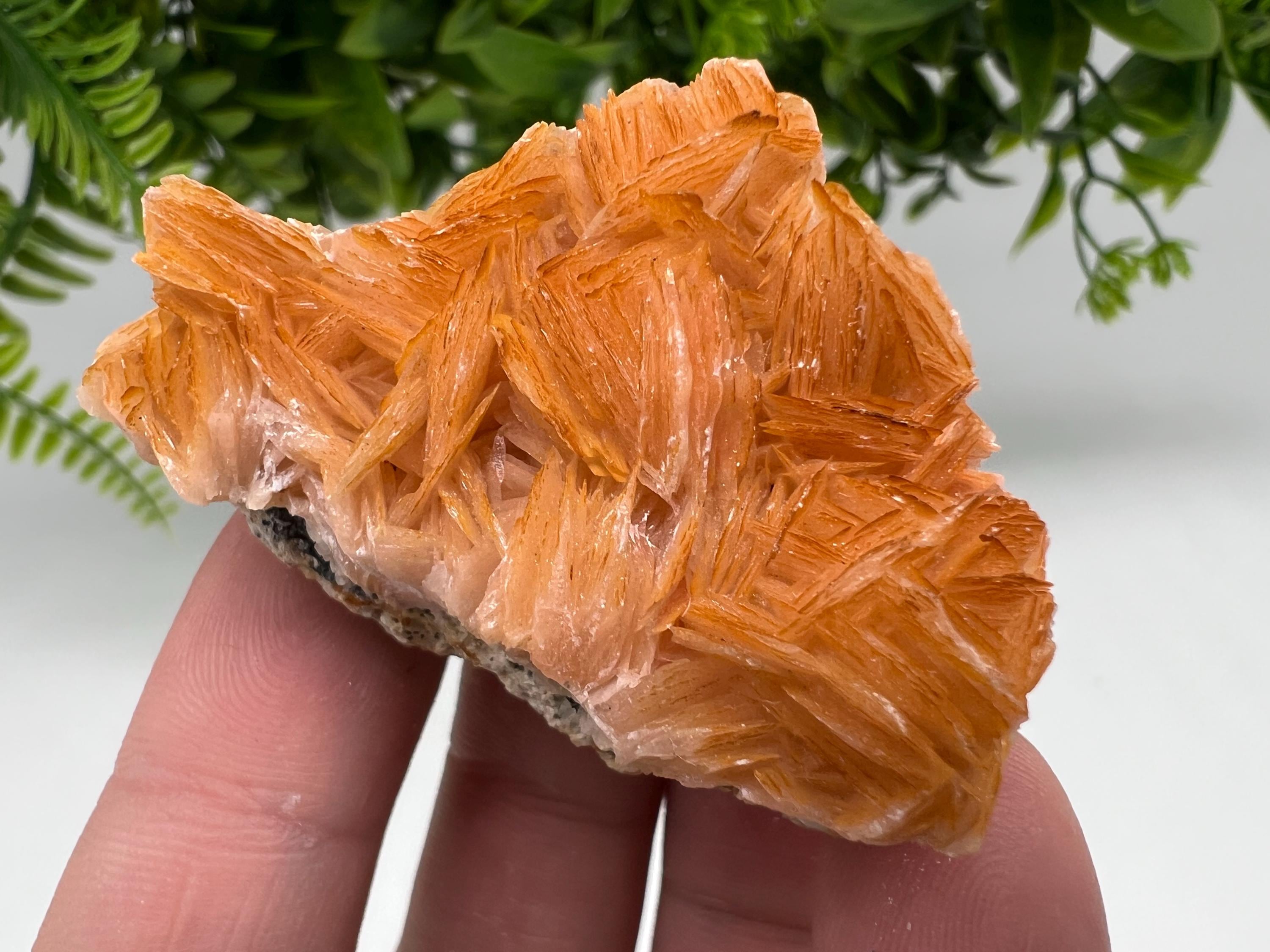 Wonderful Baryte with Cerussite on Galena from Morocco,Crystal, Mineral,Specimen,Cluster,Crystals,Barite Crystal,Cerussite Crystal,Specimen