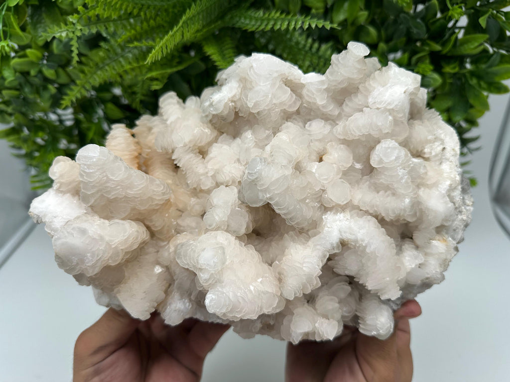 UV Fluorescent Calcite Cluster, Natural Mineral Specimen, Borieva Bulgaria