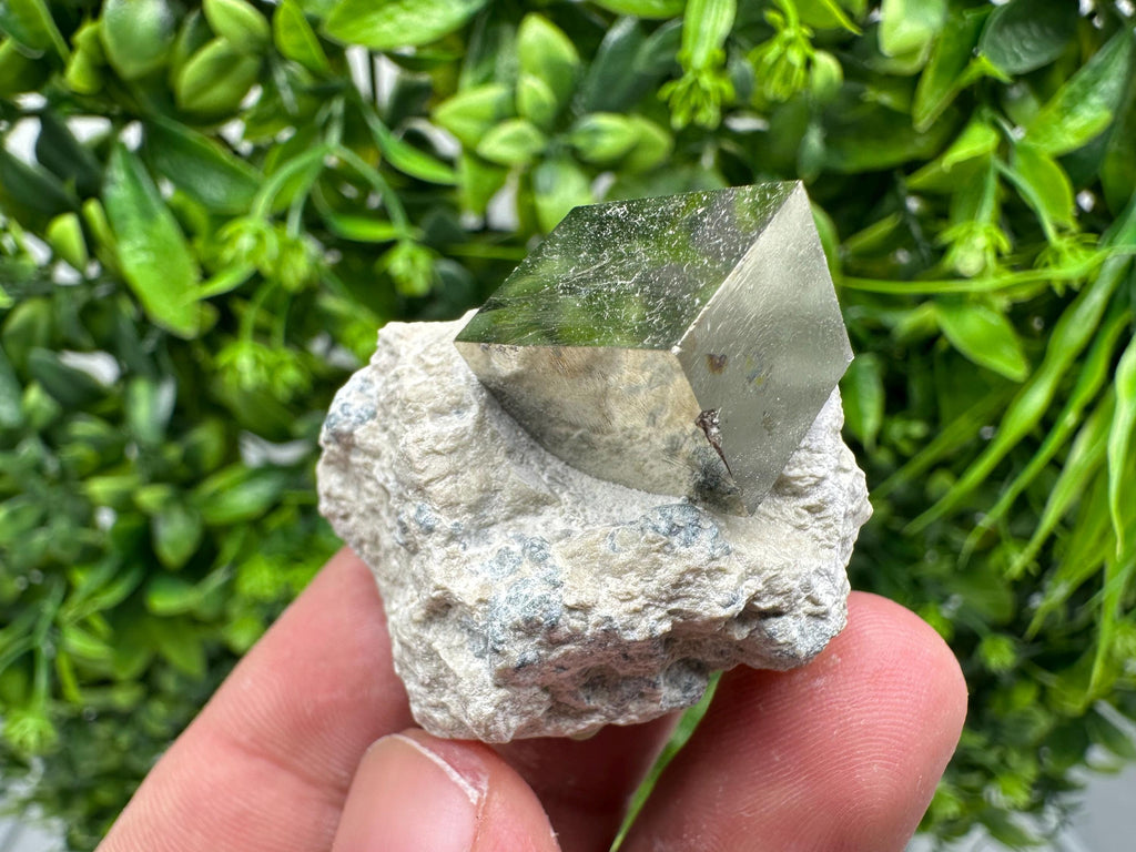 Large Pyrite Cube on Matrix, Natural Mineral Specimen, La Rioja Spain