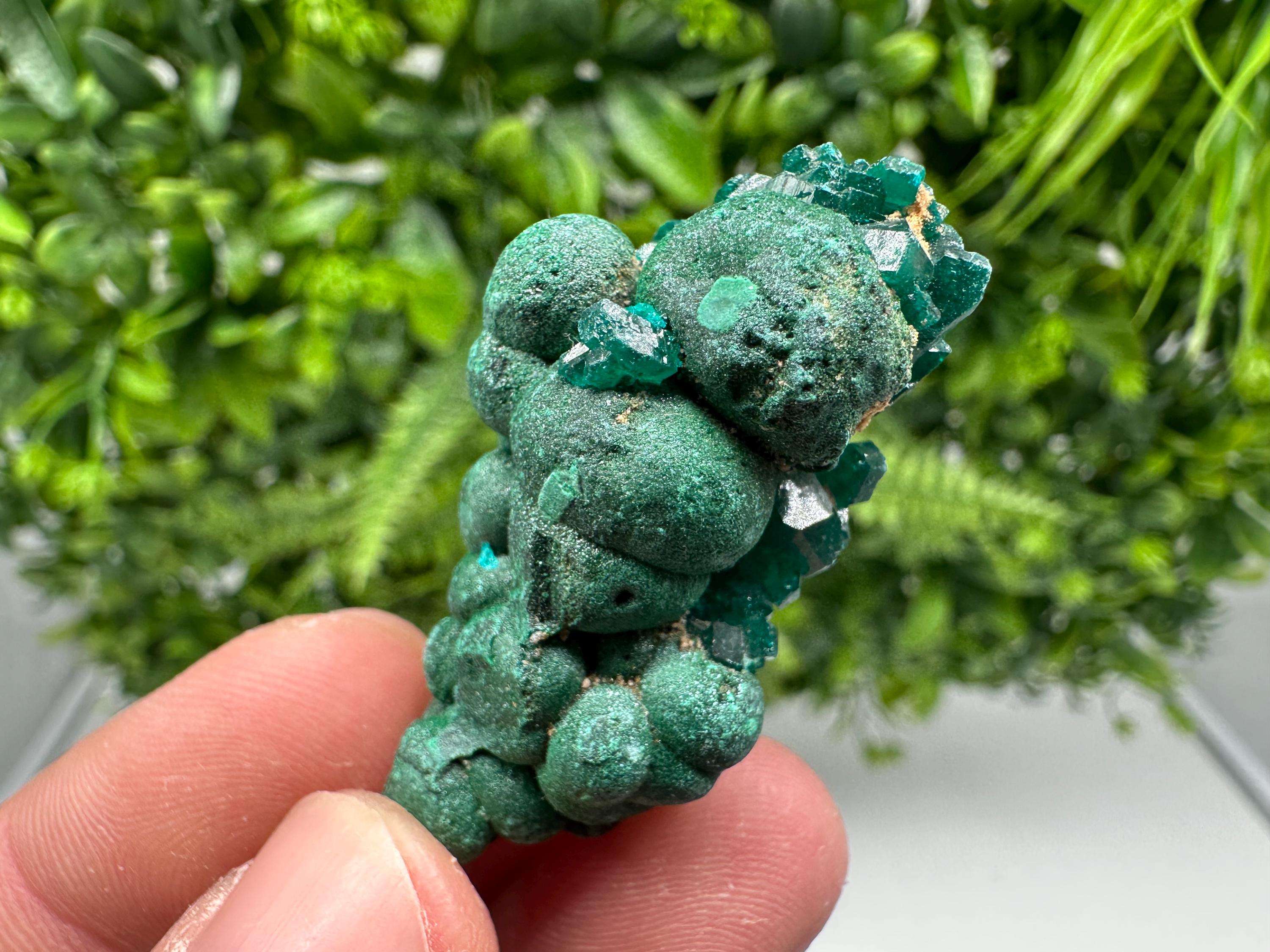 Stunning Green Dioptase from Sanda Hills,Mindouli,Pool Department,Mindouli District,Congo,green Dioptase,Dioptas Crystal,Dioptase collecting