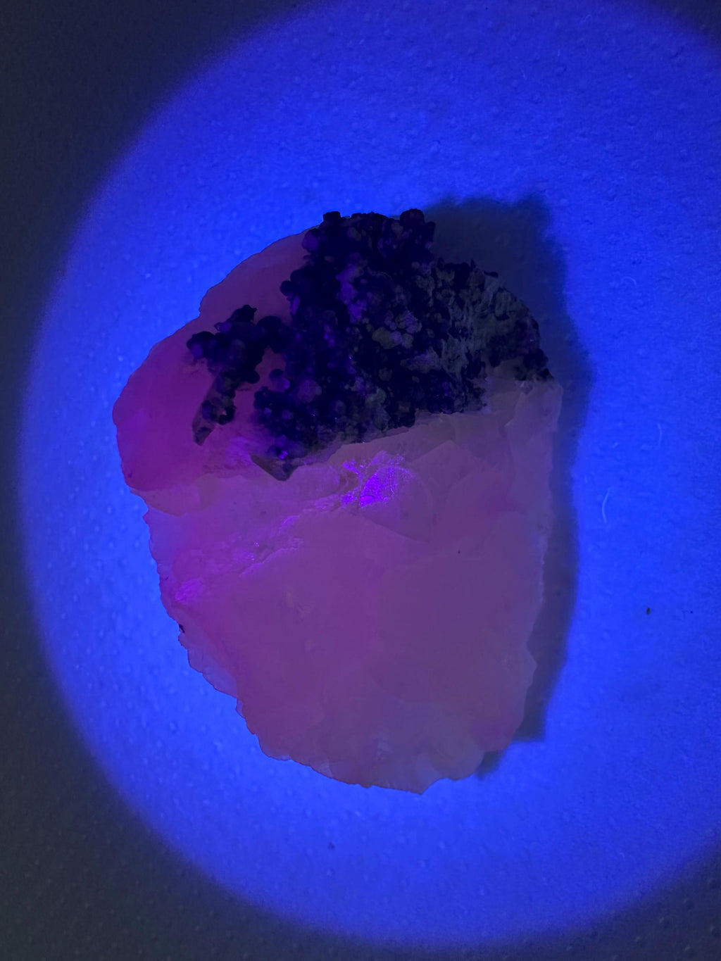 Calcite on Green Quartz: Djurcovo Mine, Bulgaria Crystal