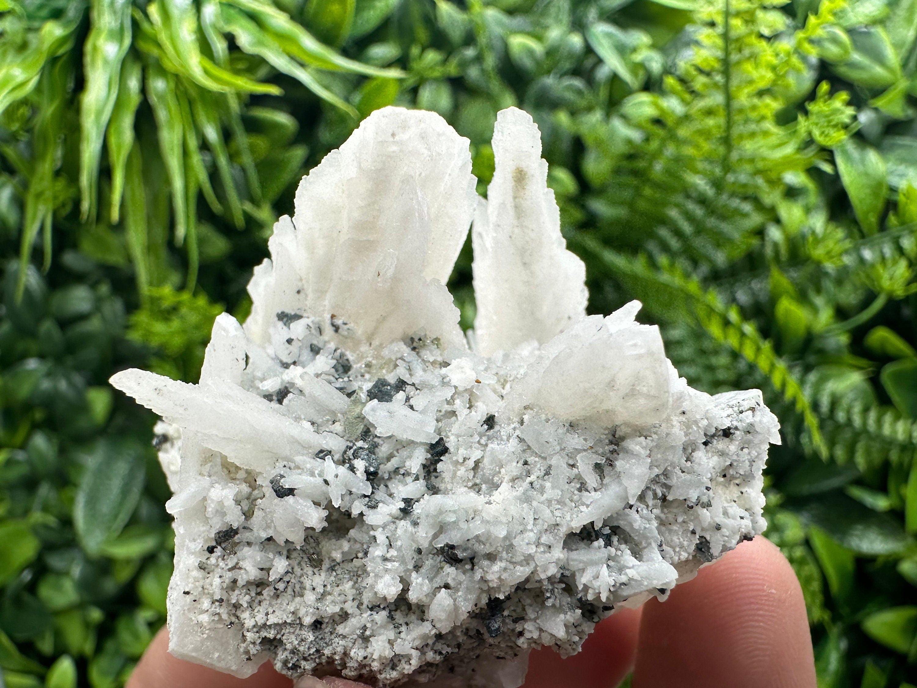 Calcite on Green Quartz: Djurcovo Mine, Bulgaria Healing Crystal