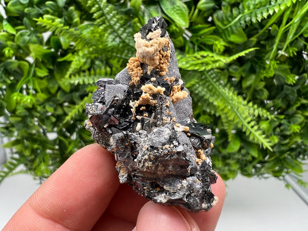 Skeletal Galena Mineral Specimen: Madan Bulgaria Collectible Stone