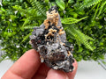 Skeletal Galena Mineral Specimen: Madan Bulgaria Collectible Stone