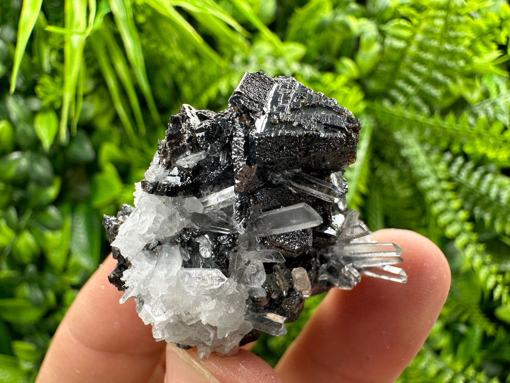 Sphalerite on Transparent Quartz, Kryshev Dol Bulgaria