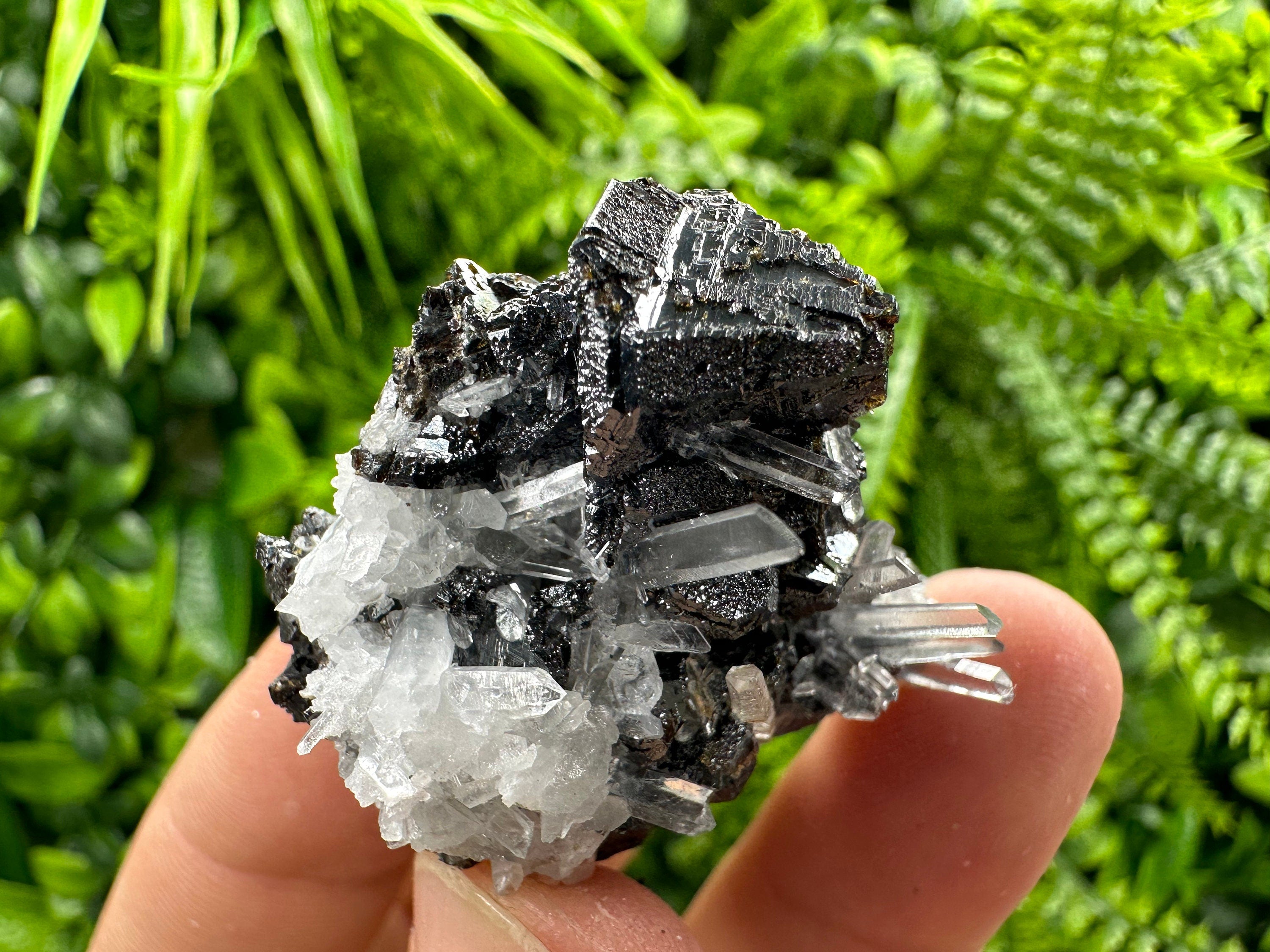 Sphalerite on Transparent Quartz, Kryshev Dol Bulgaria