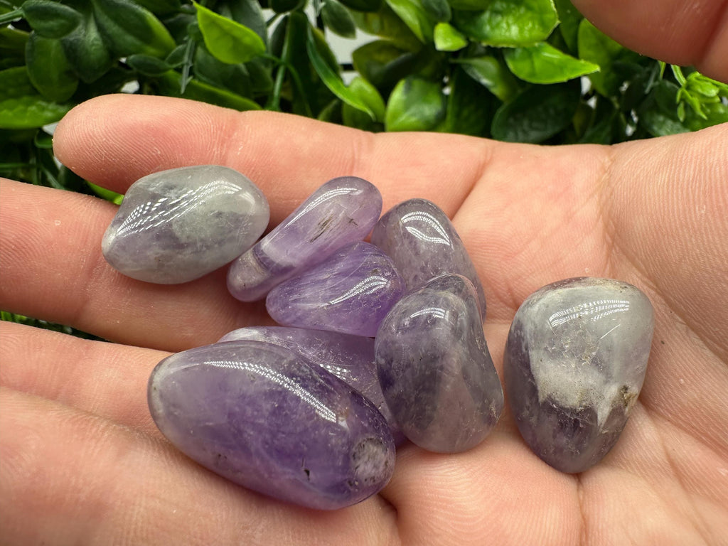 Amethyst Tumbled Stones: Healing Crystals, Zodiac Gems