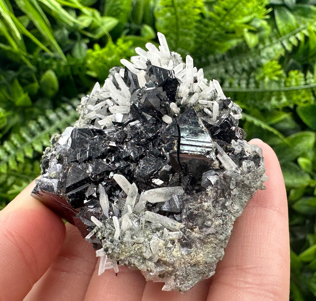 Borieva Sphalerite on Quartz: Rare Mineral Cluster