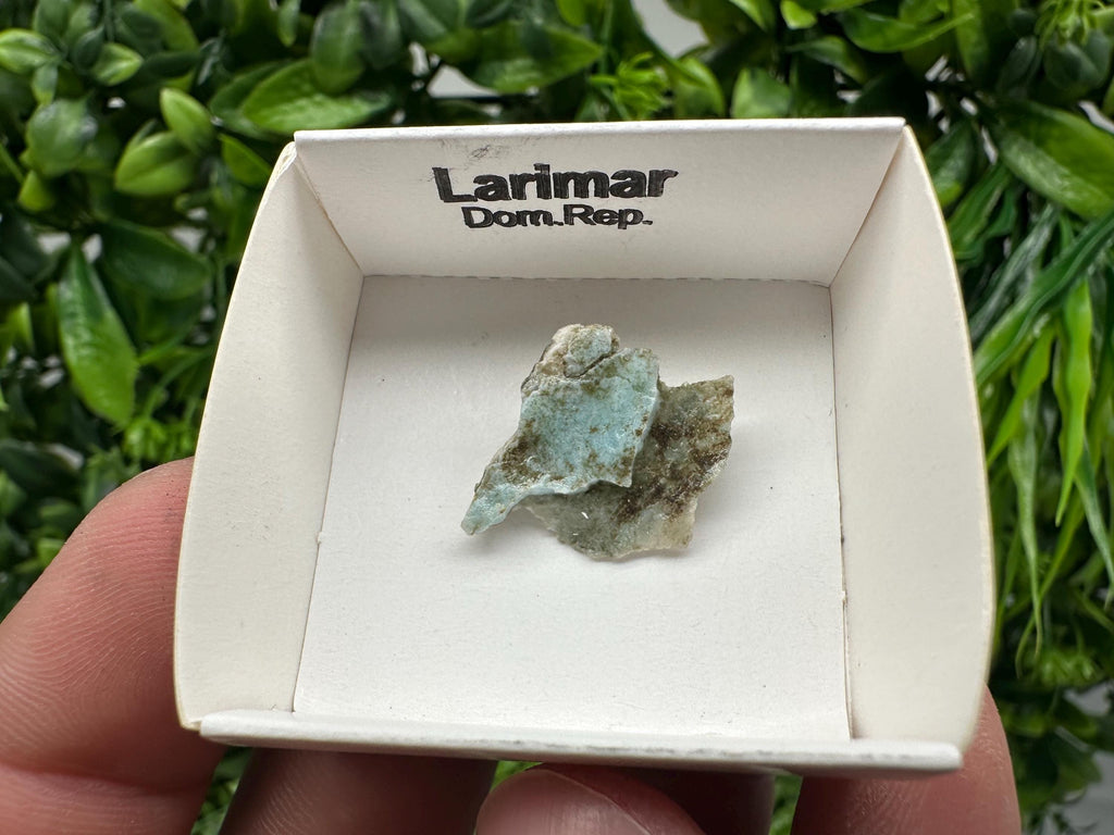 Rare Raw Larimar Specimen: Dom. Rep. Mineral Collection (20mm)