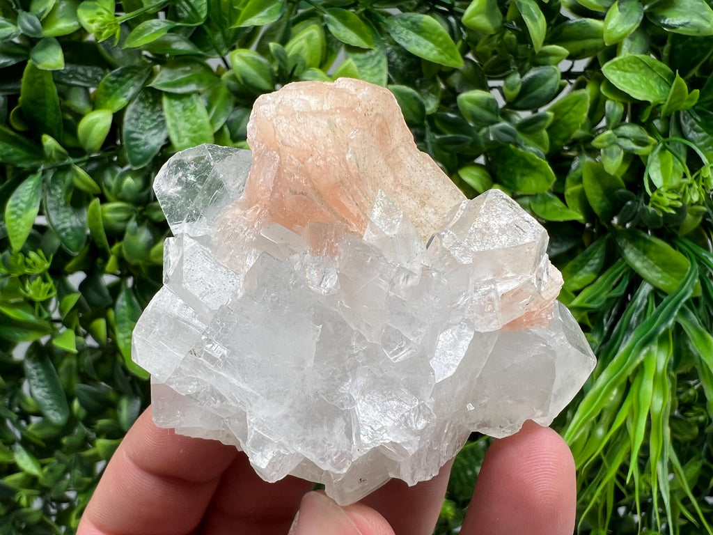 Apophyllite on Chalcedony Specimen: Natural Crystal from India