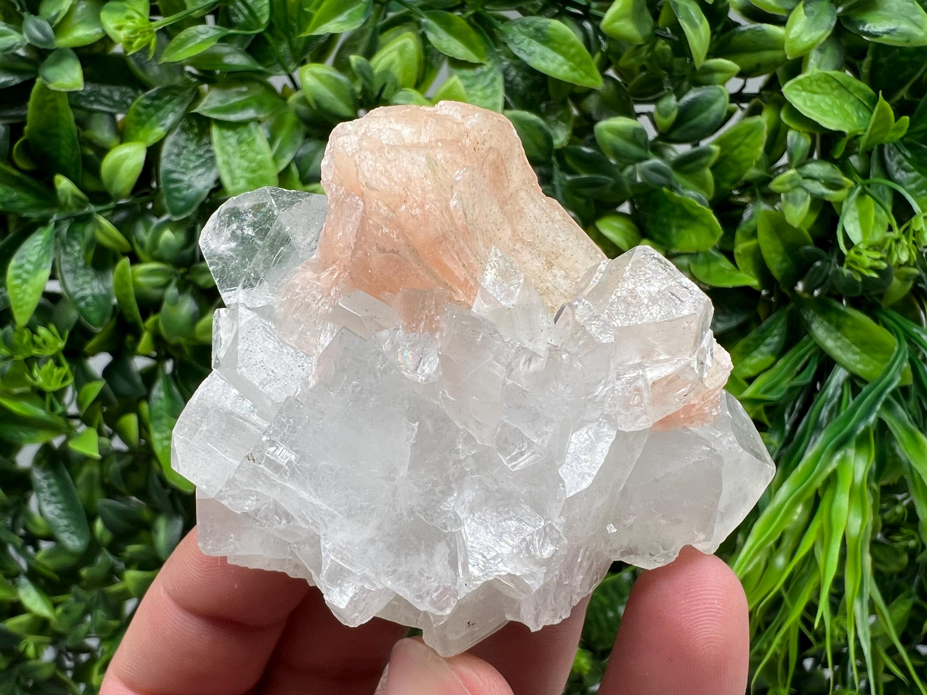 Apophyllite on Chalcedony Specimen: Natural Crystal from India